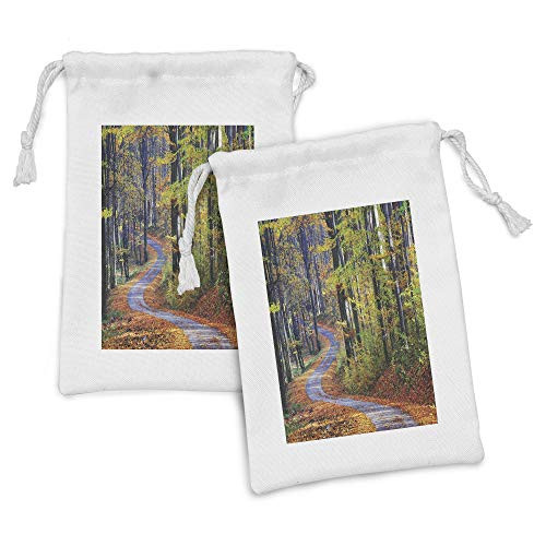 Lunarable Forest Fabric Pouch Set of 2, Winding Path Through Fall Forest with Golden Yellow Leaves on Road Landscape, Small Drawstring Bag for Toiletries Masks and Favors, 9" x 6", Brown Orange Green