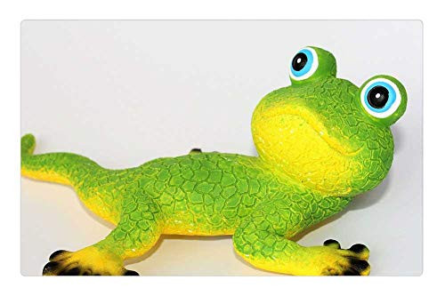 LESGAULEST Doormat Floor Rug/Mat -23.6 x 15.7 inch- - Gecko Yellow Green Animal Figure Funny Cute