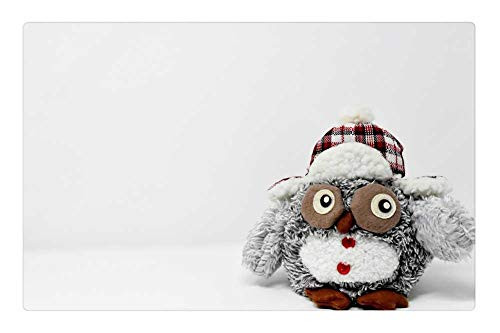 LESGAULEST Doormat Floor Rug/Mat -23.6 x 15.7 inch- - Owl Figure Stuffed Animal Decoration Funny Bird