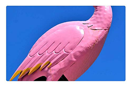LESGAULEST Doormat Floor Rug/Mat -23.6 x 15.7 inch- - Flamingo Figure Art Sheet Sheet Metal Flamingo