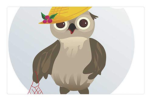 LESGAULEST Doormat Floor Rug/Mat -23.6 x 15.7 inch- - Vector Figure Bird Owl String Bag Mouse Cap