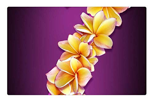 LESGAULEST Doormat Floor Rug/Mat -23.6 x 15.7 inch- - Figure Date Flowers Collage Design Idea Bright