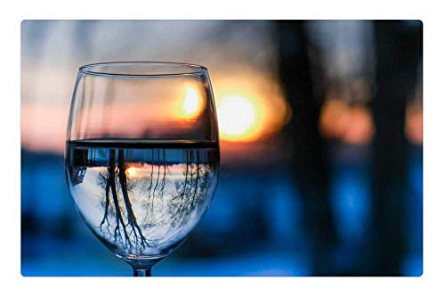 LESGAULEST Doormat Floor Rug/Mat -23.6 x 15.7 inch- - Landscape Winter Glass Water Mirror Reflection