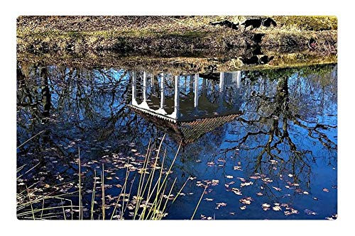 LESGAULEST Doormat Floor Rug/Mat -23.6 x 15.7 inch- - Dust Mirror Image Water Nature Outdoor Cityscape LESGAULEST Doormat Floor Rug/Mat -23.6 x 15.7 inch- - Dust Mirror Image Water Nature Outdoor Cityscape