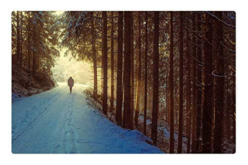 LESGAULEST Doormat Floor Rug/Mat -23.6 x 15.7 inch- - Winter Snow Sunrise Dawn Walk Hiking Figure