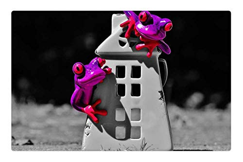 LESGAULEST Doormat Floor Rug/Mat -23.6 x 15.7 inch- - Frogs Home Funny Cute Sweet Decoration Figure