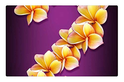 LESGAULEST Doormat Floor Rug/Mat -23.6 x 15.7 inch- - Figure Date Flowers Collage Design Idea Bright 1