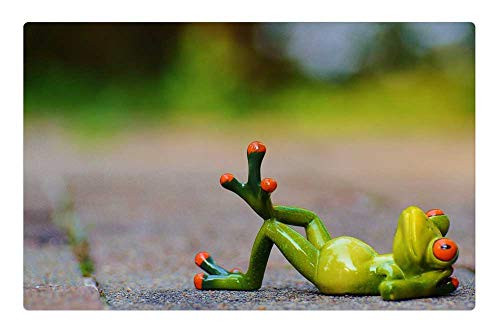 LESGAULEST Doormat Floor Rug/Mat -23.6 x 15.7 inch- - Frog Relaxed Figure Funny Rest Relaxation Lying 1