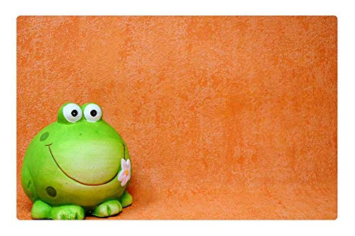 LESGAULEST Doormat Floor Rug/Mat -23.6 x 15.7 inch- - Frog Figure Funny Animal Fun Green Ceramic