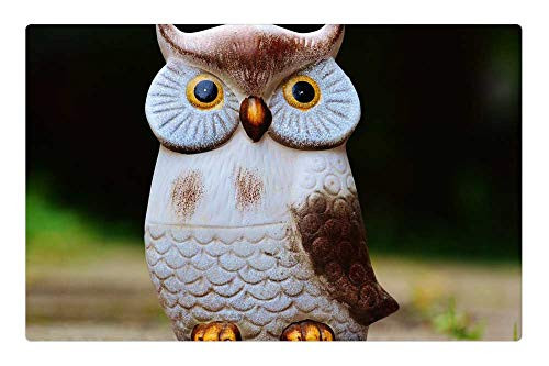 LESGAULEST Doormat Floor Rug/Mat -23.6 x 15.7 inch- - Owl Bird Funny Animal Cute Deco Figure 2