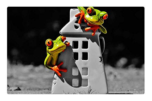 LESGAULEST Doormat Floor Rug/Mat -23.6 x 15.7 inch- - Frogs Home Funny Cute Sweet Decoration Figure 6