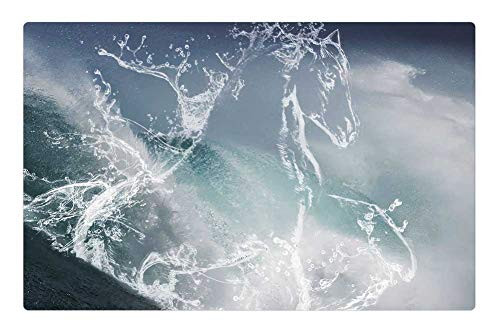 LESGAULEST Doormat Floor Rug/Mat -23.6 x 15.7 inch- - Horse Animal The Water Horse Aquatic Animal Figure