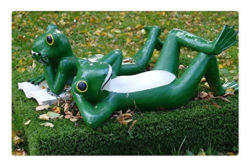 LESGAULEST Doormat Floor Rug/Mat -23.6 x 15.7 inch- - Frog Frogs Pair Lying Dormant Relax Cute Figure
