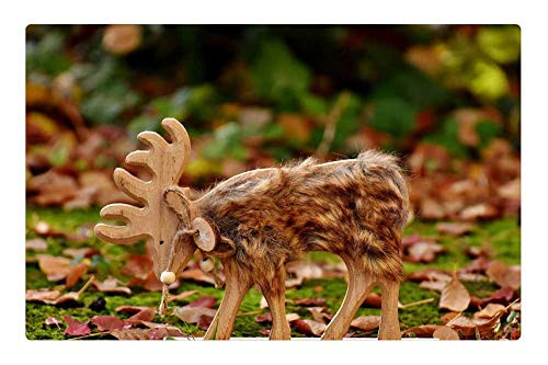LESGAULEST Doormat Floor Rug/Mat -23.6 x 15.7 inch- - Hirsch Figure Deco Fur Autumn Forest Animal Wild