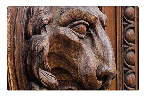 LESGAULEST Doormat Floor Rug/Mat -23.6 x 15.7 inch- - Lion Head Wood Door Goal Figure Lion Head 1