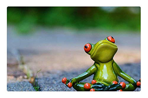 LESGAULEST Doormat Floor Rug/Mat -23.6 x 15.7 inch- - Yoga Frog Relaxed Figure Funny Rest Relaxation