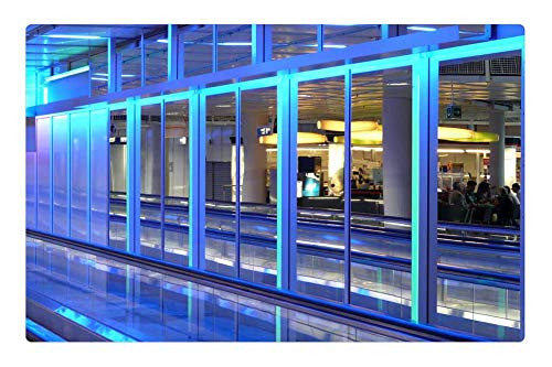 LESGAULEST Doormat Floor Rug/Mat -23.6 x 15.7 inch- - Mirror Mirroring Modern Architecture Blue