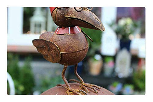 LESGAULEST Doormat Floor Rug/Mat -23.6 x 15.7 inch- - Bird Figure Decoration Metal Animal Deco