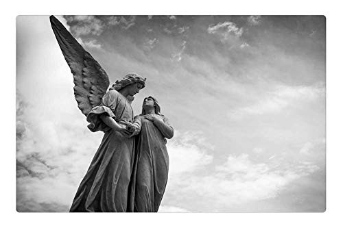 LESGAULEST Doormat Floor Rug/Mat -23.6 x 15.7 inch- - Cemetery Peace Marble Angel Sculpture Figure Love