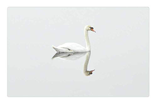LESGAULEST Doormat Floor Rug/Mat -23.6 x 15.7 inch- - Swan Bird Nature Water Bird Mirror Image LESGAULEST Doormat Floor Rug/Mat -23.6 x 15.7 inch- - Swan Bird Nature Water Bird Mirror Image