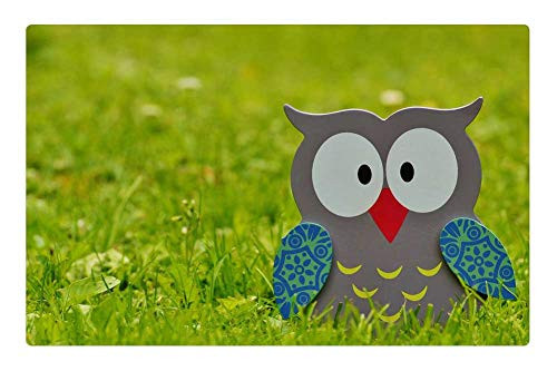 LESGAULEST Doormat Floor Rug/Mat -23.6 x 15.7 inch- - Owl Wood Decoration Figure Cute Deco Color Bird