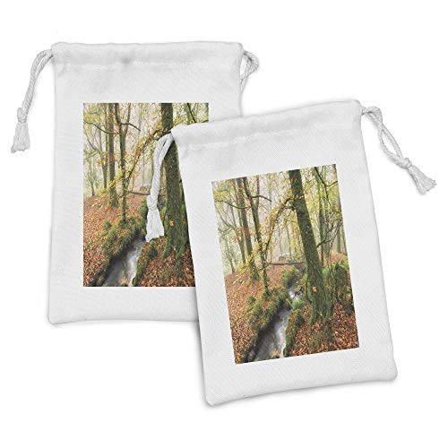 Ambesonne Woodland Fabric Pouch Set of 2, Misty Autumn Woodland Stream at Golitha Falls on Bodmin Moor in Cornwall, Small Drawstring Bag for Toiletries Masks and Favors, 9" x 6", Orange Green Yellow