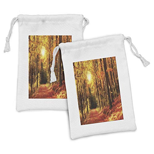Ambesonne Nature Fabric Pouch Set of 2, Vibrant Picture of Forest with Fall Trees at Sunset Pathway to the Woodland, Small Drawstring Bag for Toiletries Masks and Favors, 9" x 6", Orange and Yellow