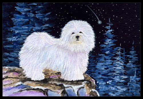Caroline's Treasures Starry Night Coton De Tulear Indoor or Outdoor Doormat, 24" x 36", Multicolor