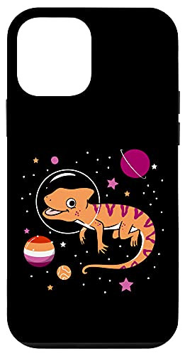 iPhone 12 mini Lesbian Chameleon Orange Pink Lesbian Pride Case