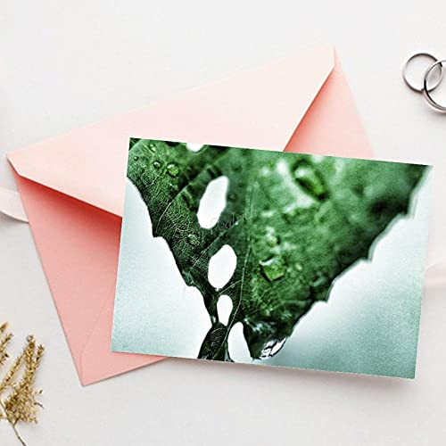 Cards and Envelopes Set Blank, Green Leaf Holes Macro A36 Greeting Card for Birthday All Occasion 10x7 Inches