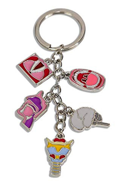 SLP Trinket Keychain, Metal Key Chain with Charms, Anatomy, Mouth, Brain, Larynx, Vocal Folds, Head View