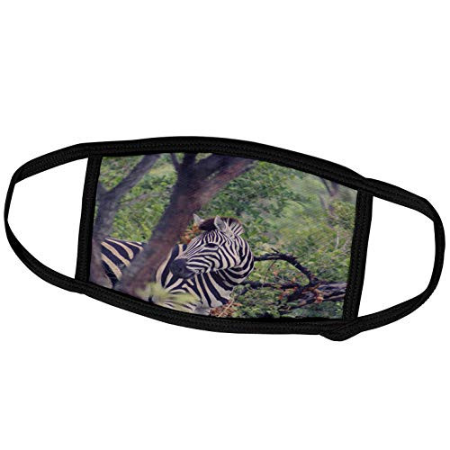 3dRose Sven Herkenrath Animal - A Photo of a Cute Zebra Looking Back - Face Masks -fm-275865-3-