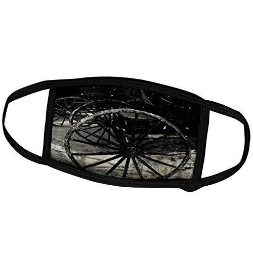 3dRose Cassie Peters Photography - Amish Wheels Grunge - Face Masks -fm-291740-3-