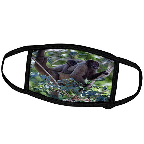 3dRose Woolly Monkey Baby clings to its Mothers Back, Amazonas, Brazil - Face Covers -fc-278150-1- 3dRose Woolly Monkey Baby clings to its Mothers Back, Amazonas, Brazil - Face Covers -fc-278150-1-