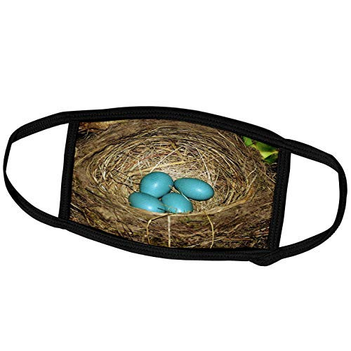 3dRose Robin Bird Eggs, Backyard, Portland, Oregon, USA - US38 MHE0019. - Face Covers -fc-145911-1-