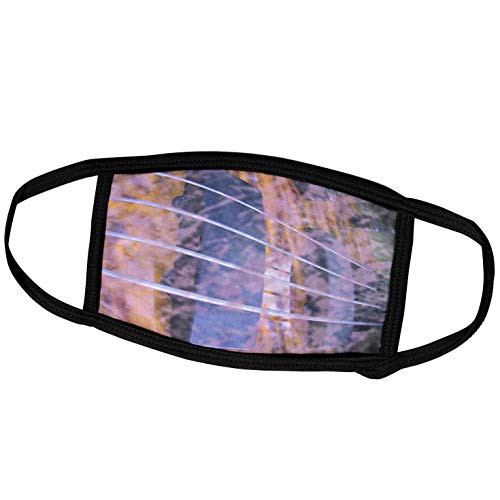 3dRose Grunged Four String bass Strings and Pickups - Face Covers -fc-155979-1-