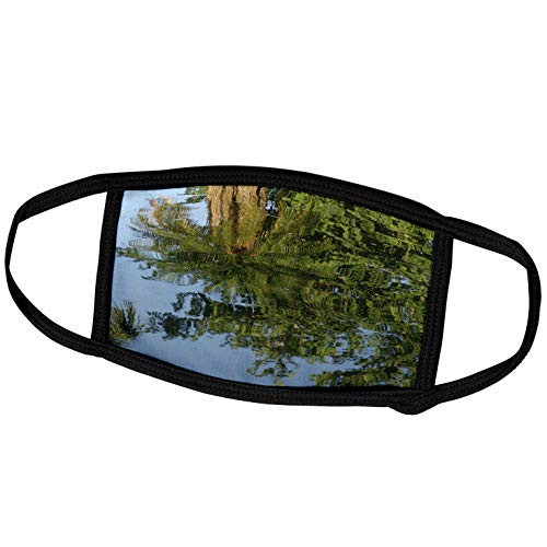 3dRose Florene Abstract Water - Palm Mirror - Face Covers -fc-17753-1-