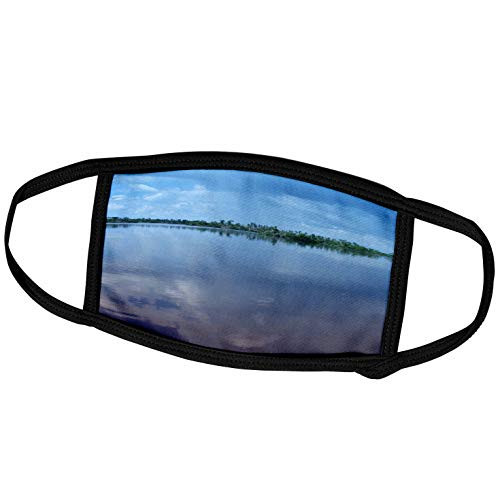 3dRose Florene Water Landscape - Natures Blue Mirror - Face Covers -fc-17896-2-