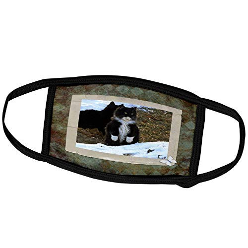3dRose Black and White Kitten Standing on Her Back Legs in The Snow - Face Covers -fc-180843-3- 3dRose Black and White Kitten Standing on Her Back Legs in The Snow - Face Covers -fc-180843-3-