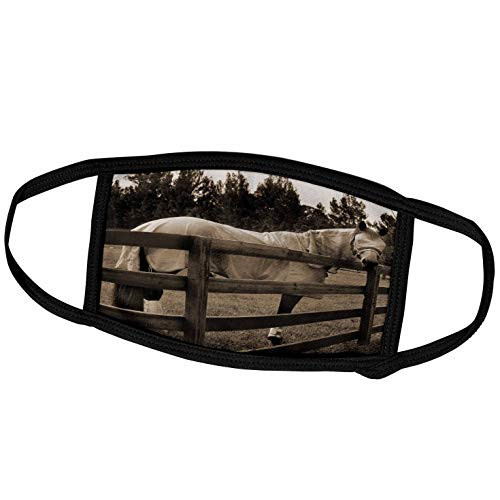 3dRose Horse in Fly Clothes Sepia Looking Back Over Fence - Face Covers -fc-196163-1-