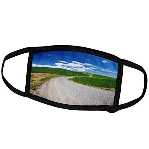 3dRose Danita Delimont - Roads - Backcountry Road Through Wheat Field. - Face Covers -fc-208686-3- 3dRose Danita Delimont - Roads - Backcountry Road Through Wheat Field. - Face Covers -fc-208686-3-