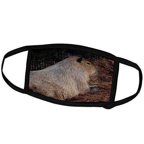 3dRose Susans Zoo Crew Animals - Regal Capybara Back View Animal - Face Covers -fc-216012-1-