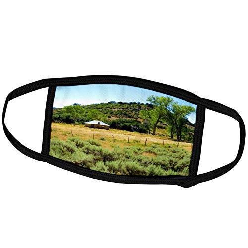 3dRose an Old Home on a Backroad in Southern UT with Gold Meadow - Face Covers -fc-255973-1- 3dRose an Old Home on a Backroad in Southern UT with Gold Meadow - Face Covers -fc-255973-1-