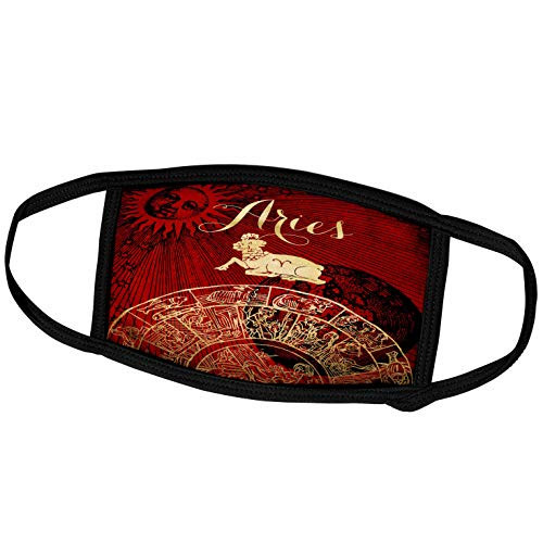 3dRose Aries Symbol Astrology Wheel Zodiac Sign Horoscope - Face Covers -fc-269251-1-