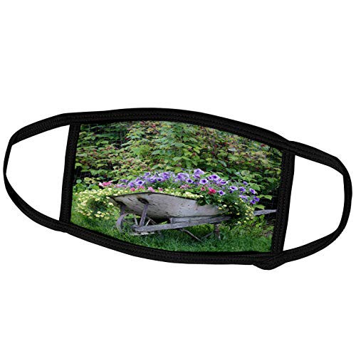 3dRose USA, Alaska, Chena Hot Springs. Old Wheelbarrow with Flowers. - Face Covers -fc-278347-1- 3dRose USA, Alaska, Chena Hot Springs. Old Wheelbarrow with Flowers. - Face Covers -fc-278347-1-