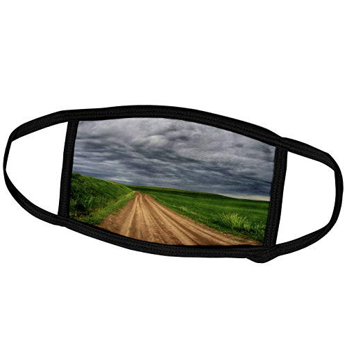 3dRose Washington, Palouse Country, Stormy Day Through Country Backroad - Face Covers -fc-279775-1- 3dRose Washington, Palouse Country, Stormy Day Through Country Backroad - Face Covers -fc-279775-1-