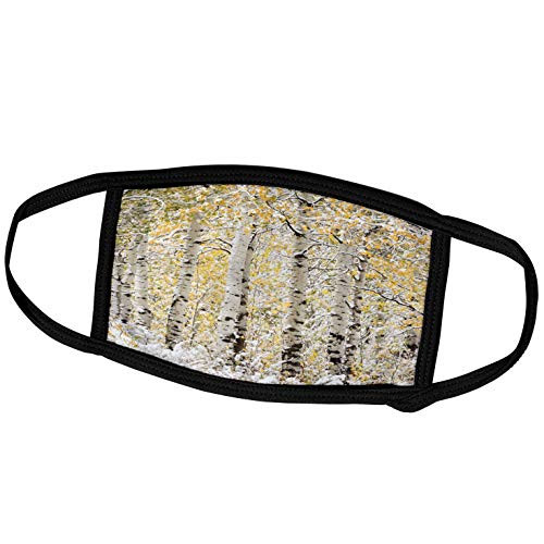 3dRose Wyoming. Yellow aspens Covered in Snow. - Face Covers -fc-279826-3- 3dRose Wyoming. Yellow aspens Covered in Snow. - Face Covers -fc-279826-3-