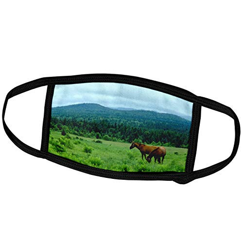 3dRose TDSwhite  Horse Equine Photos - Grazing Horses Mountain Backdrop - Face Covers -fc-285493-1-