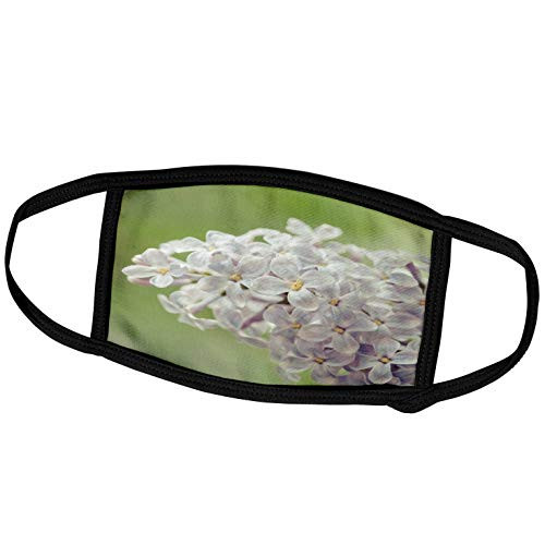3dRose Soft Purple, White Lilac Flowers, Green Backdrop, Stylized Photo - Face Covers -fc-288339-1-