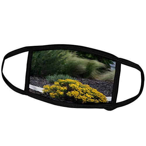 3dRose A Yellow Flowering Bush in Dixie Downs Park with Pampas in Back - Face Covers -fc-291095-1-